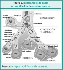 figura 1